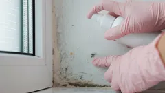 Moe van schimmel en vet? Het beste zelfgemaakte middel om vet en schimmel te verwijderen