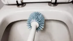 Wanneer moet je een wc-borstel vervangen? Experts delen tips voor een hygiënische badkamer