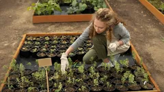 Geheimen van winterzaaien: wat te planten in november voor een prachtige oogst in het voorjaar