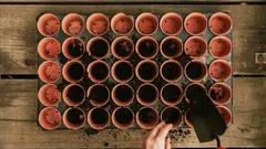 Planten laten groeien alsof je een afstandsbediening hebt: tips die echt werken