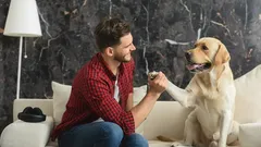 Praat jij vaak tegen je huisdieren? Dit betekent het volgens experts