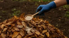 Drie lepels – en bladeren veranderen in goud: goedkope meststof die mest vervangt