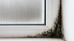 Herfstvochtigheid: vreemde plekken waar schimmel zich verbergt – geef het geen kans